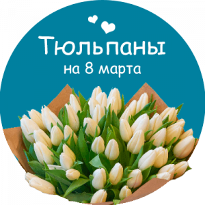 Купить тюльпаны в Балашихе